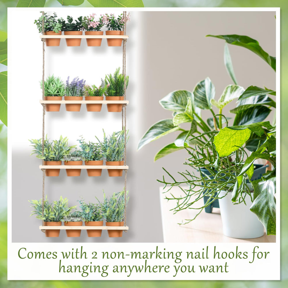 FillTouch plants-in-pots closeup showing healthy foliage and texture