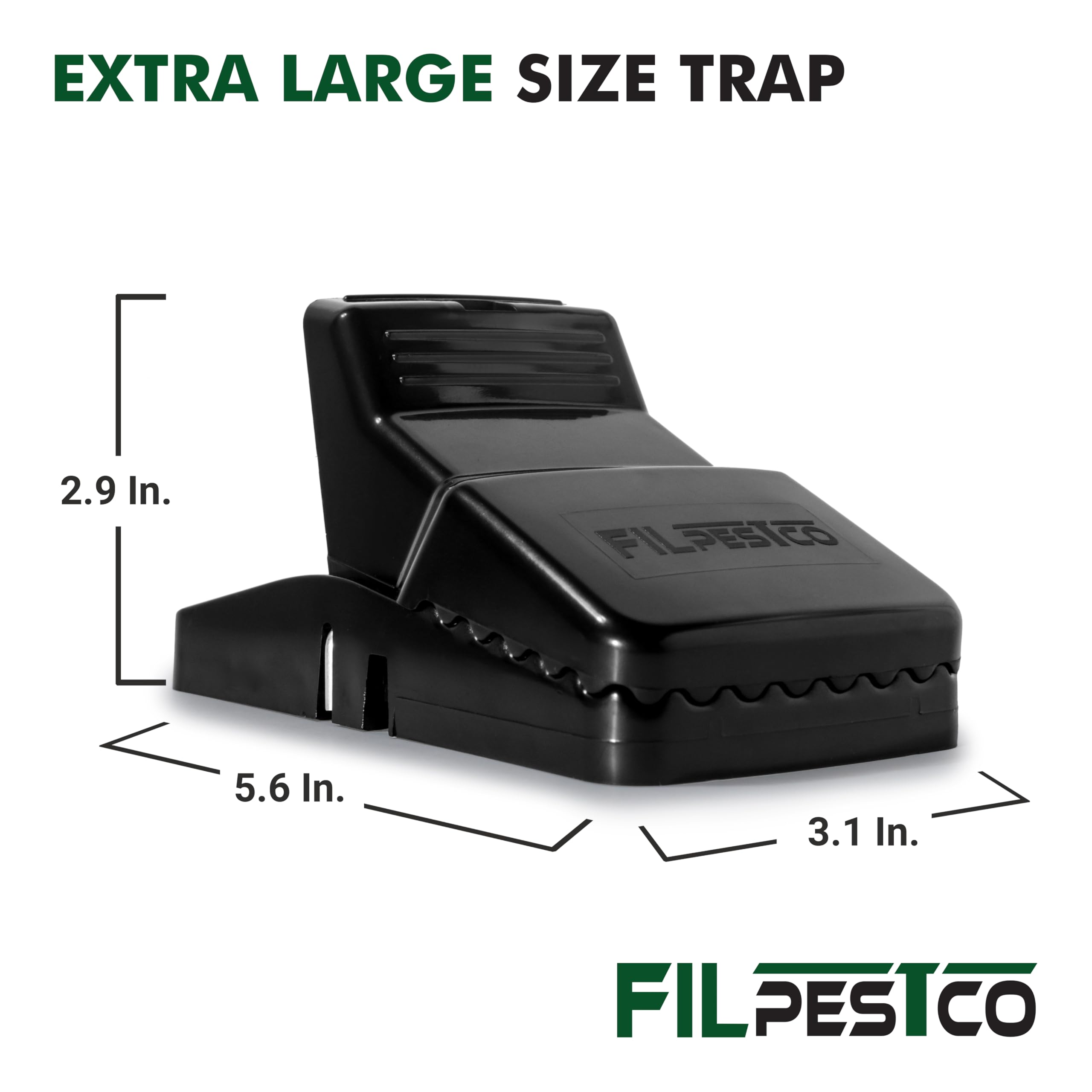 Filpestco trap placed against baseboard demonstrating discreet indoor placement benefit