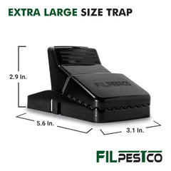Filpestco trap placed against baseboard demonstrating discreet indoor placement benefit