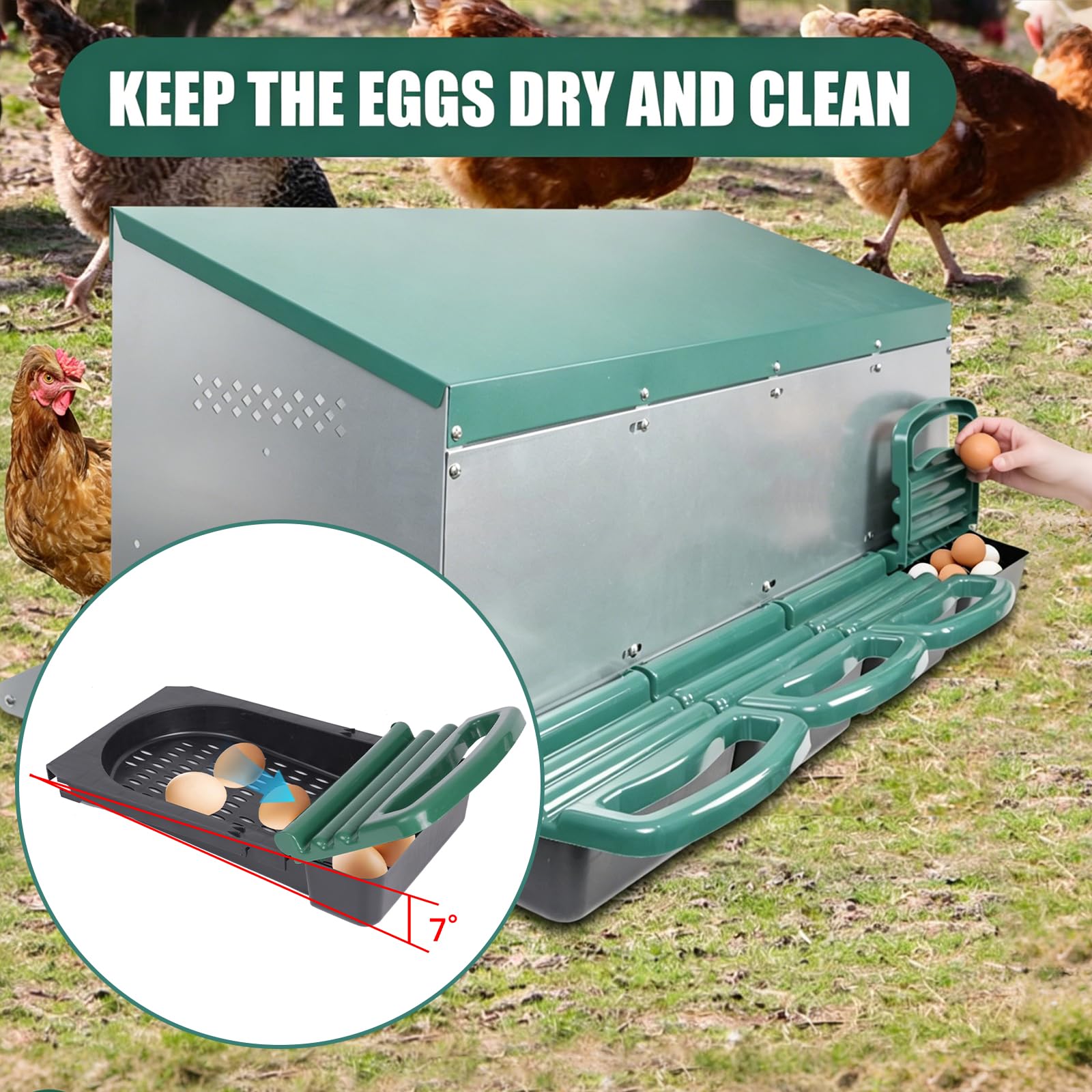 Filterhualv open collection drawer with eggs, external access keeps eggs safe