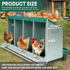 Filterhualv roosting pole and vents, comfortable perch and airflow for hens