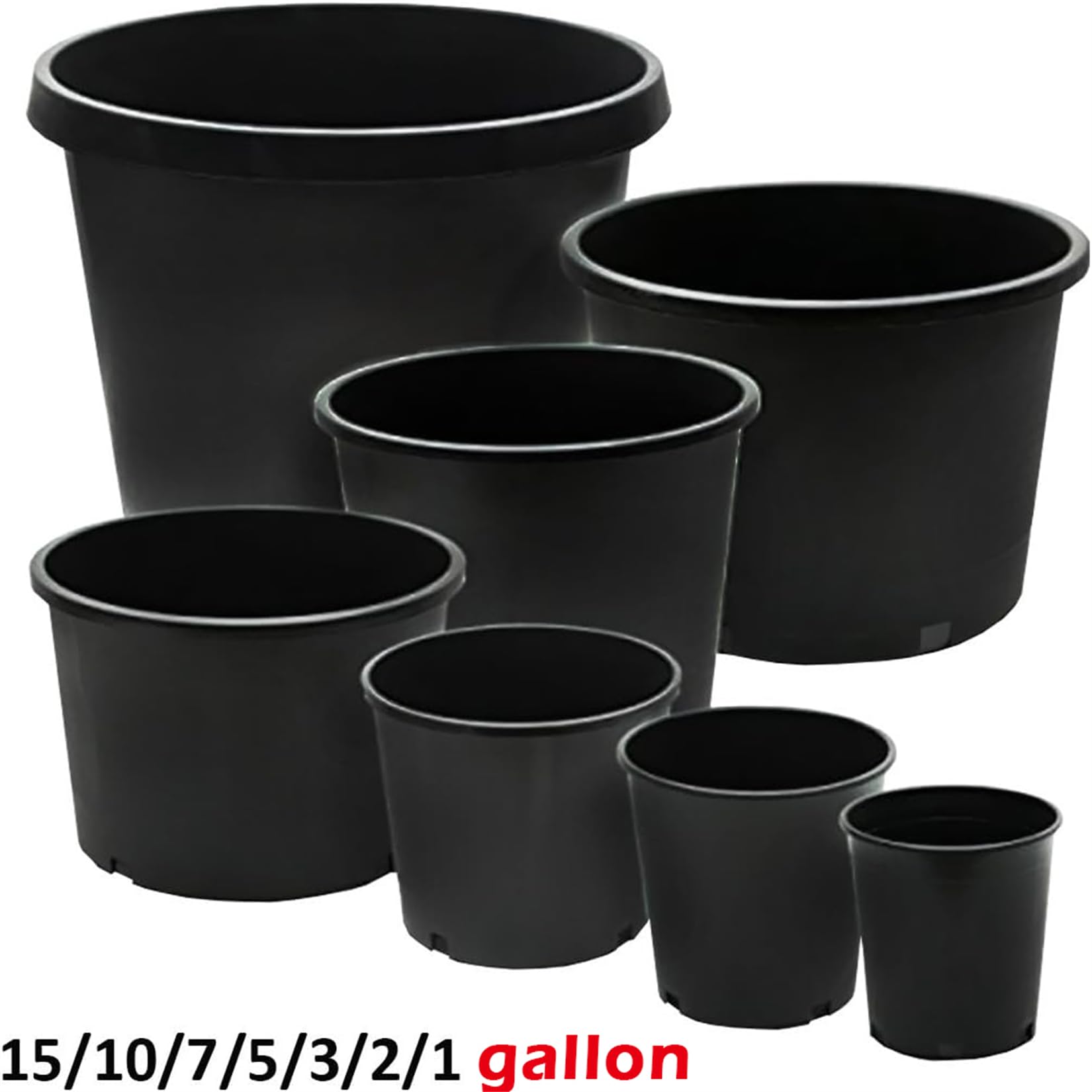 findmall potted tomato plant in pot showing strong growth and proper root room
