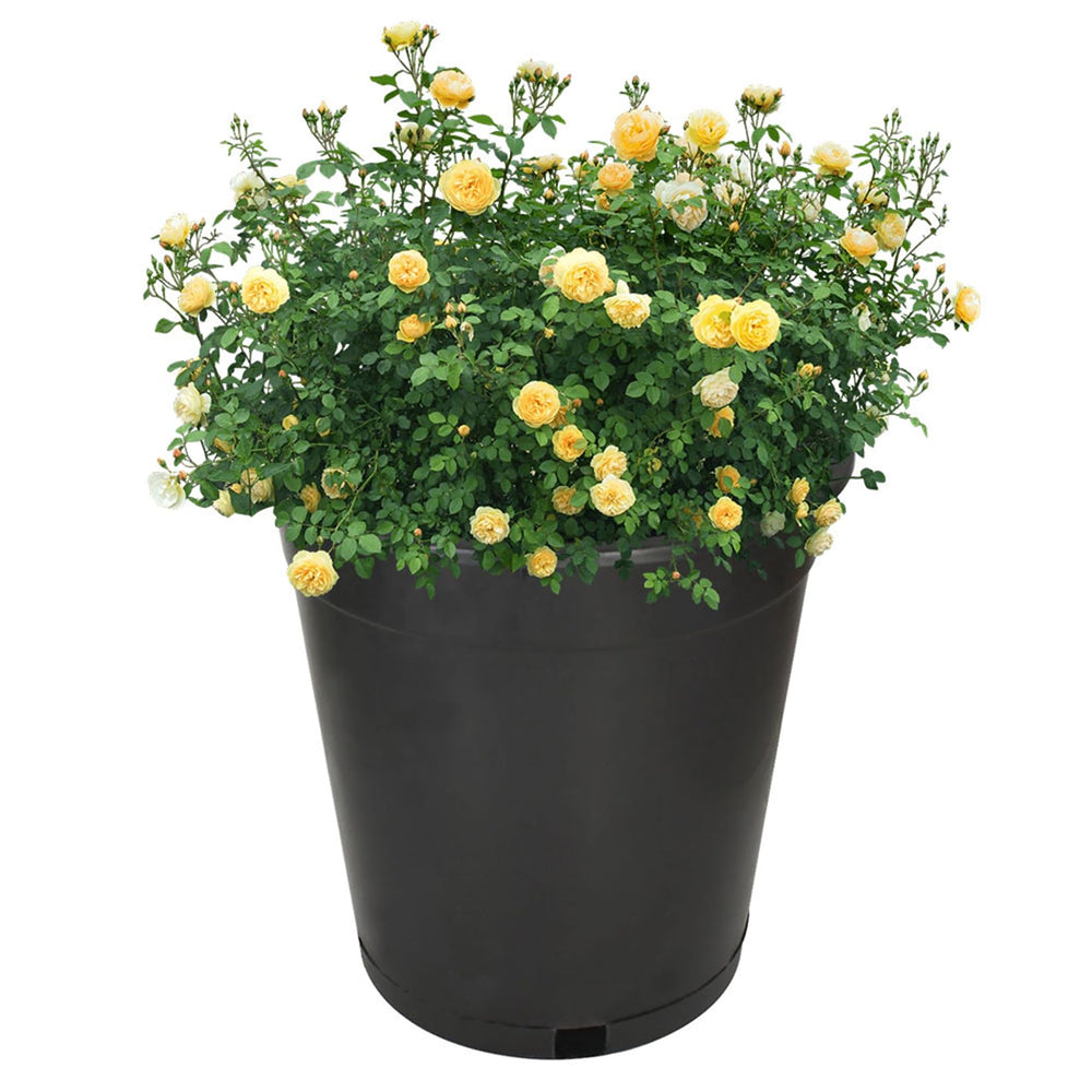 findmall stacked pots demonstrating compact storage and space-saving benefit