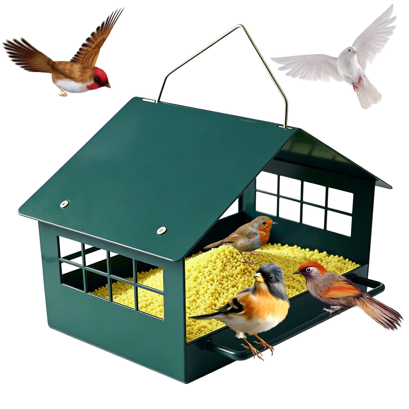 Firmlly feeder front view showing sturdy platform and roof benefits clear feeding