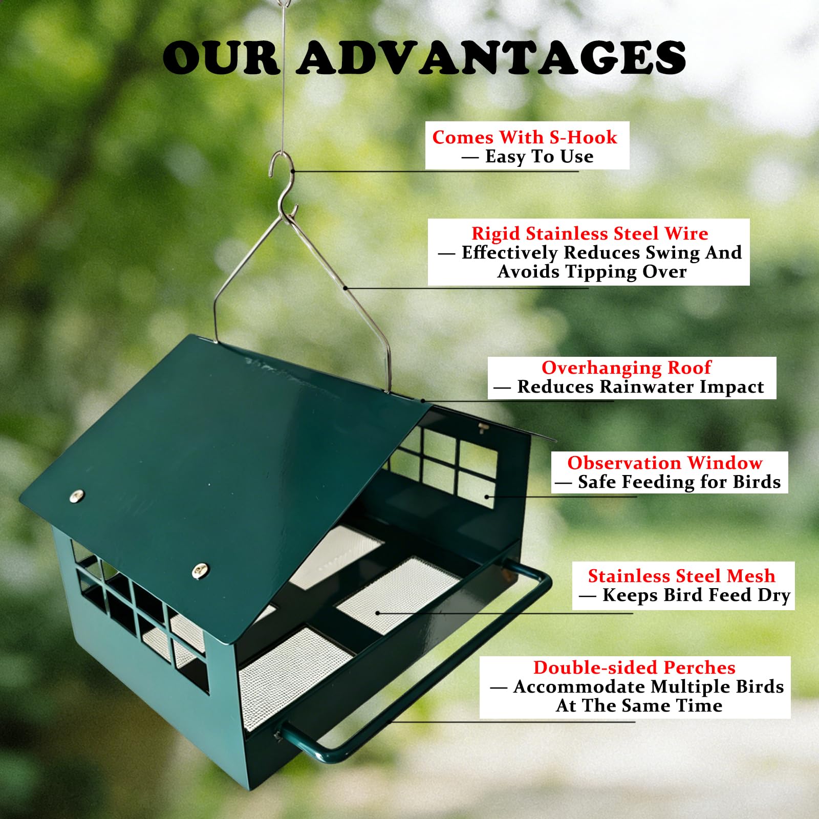 Firmlly feeder in garden setting attracting backyard birds and enhancing decor