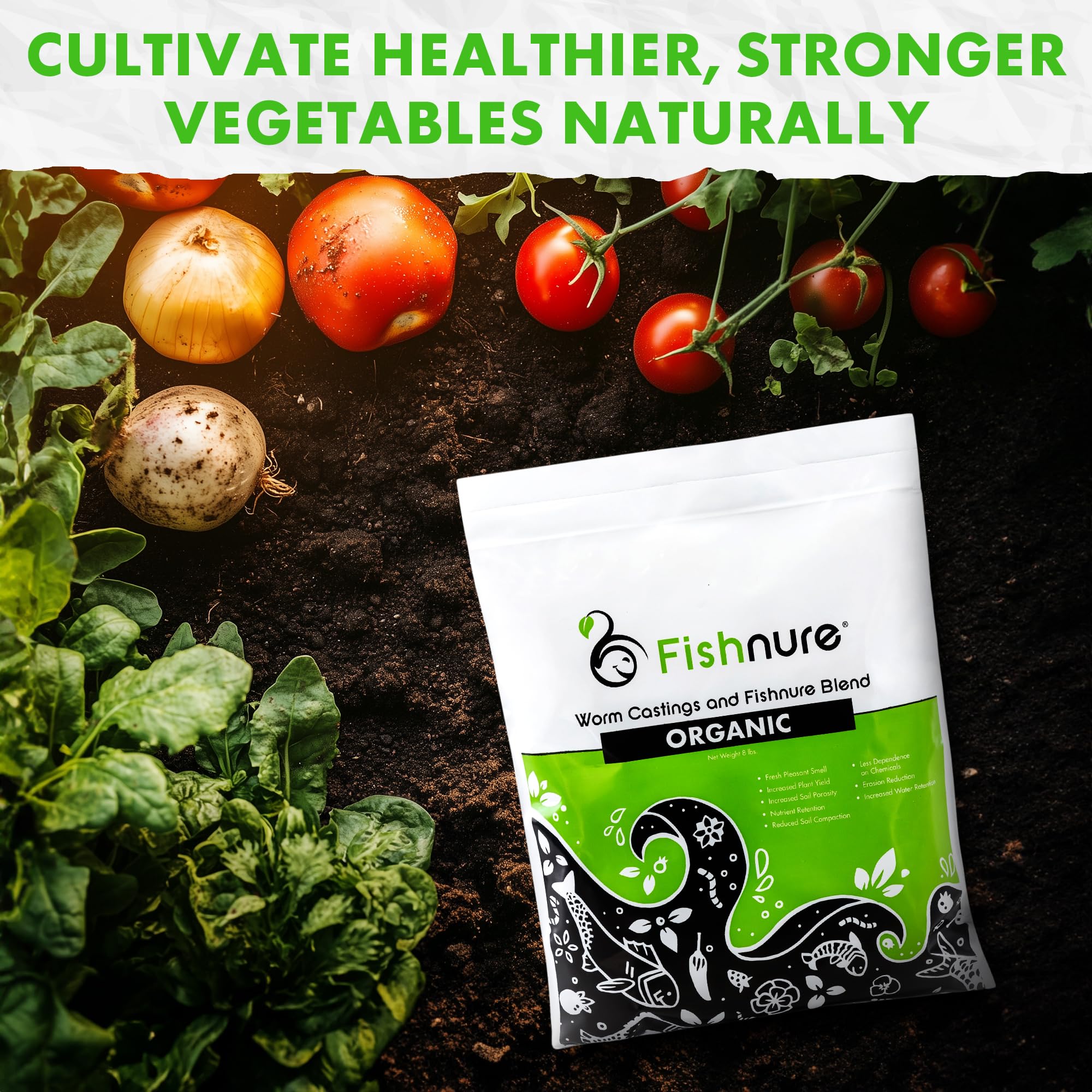 Fishnure applied in a 3-gallon pot demonstrating safe feeding for houseplants