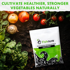 Fishnure applied in a 3-gallon pot demonstrating safe feeding for houseplants