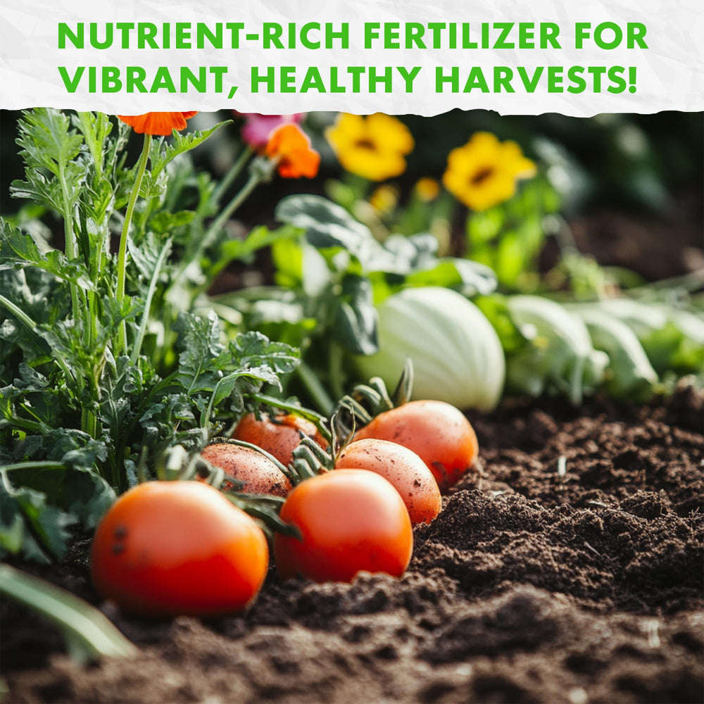 Top-dressing indoor plant with Fishnure for steady organic plant feeding