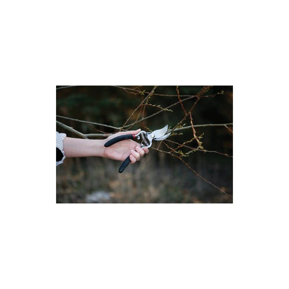 Fiskars 9274 in use pruning a rose bush demonstrating clean bypass cuts benefit