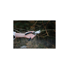 Fiskars 9274 in use pruning a rose bush demonstrating clean bypass cuts benefit