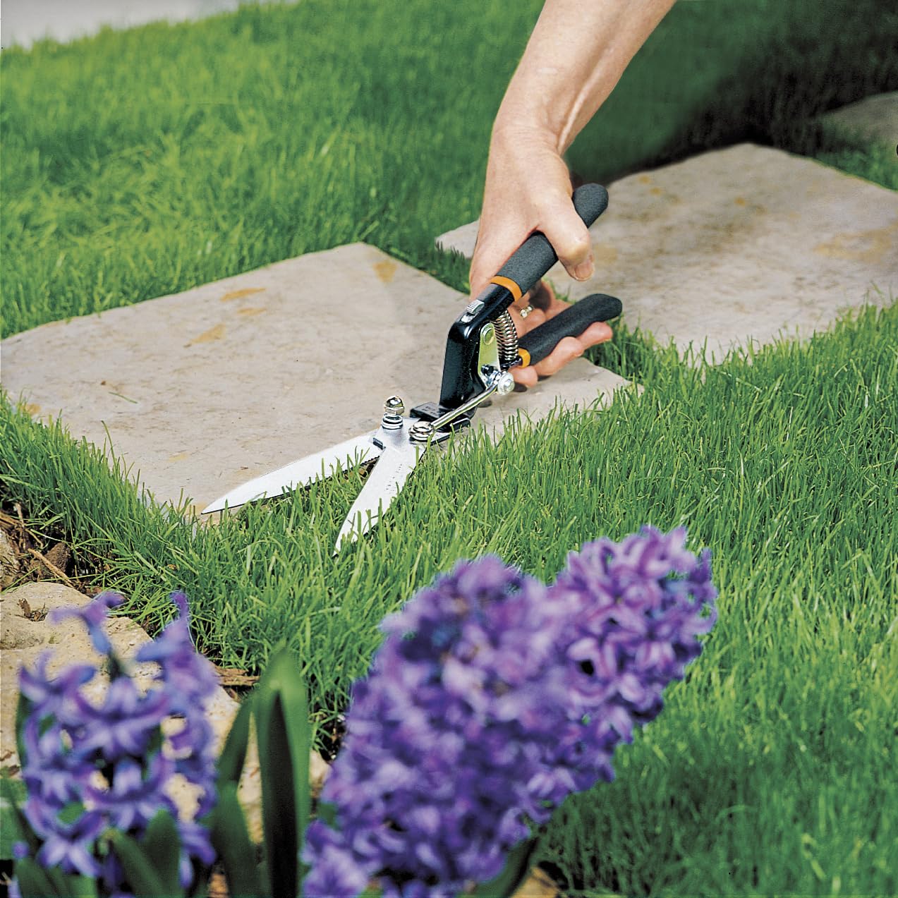 Fiskars close-up of serrated blades showing grip and precise cutting benefit