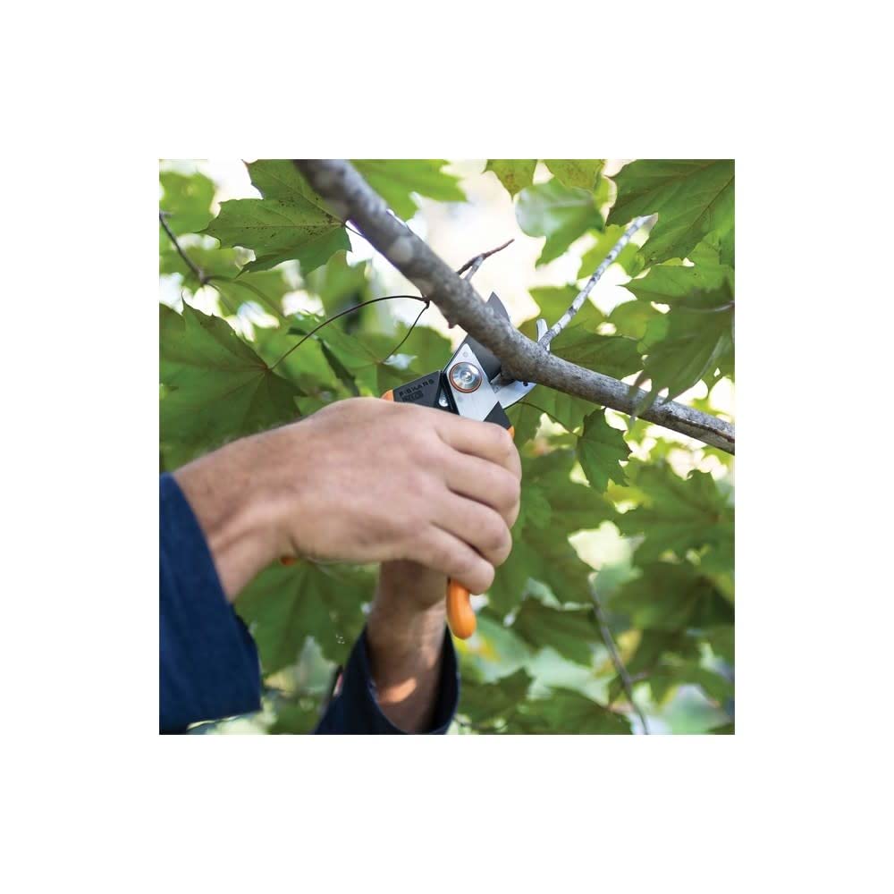 Fiskars on a garden bench with tools to show practical use and outdoor readiness