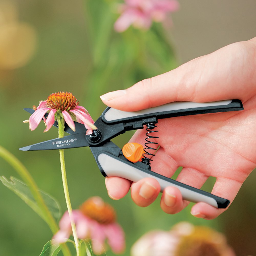 Fiskars in hand to show scale and comfortable Softgrip handling