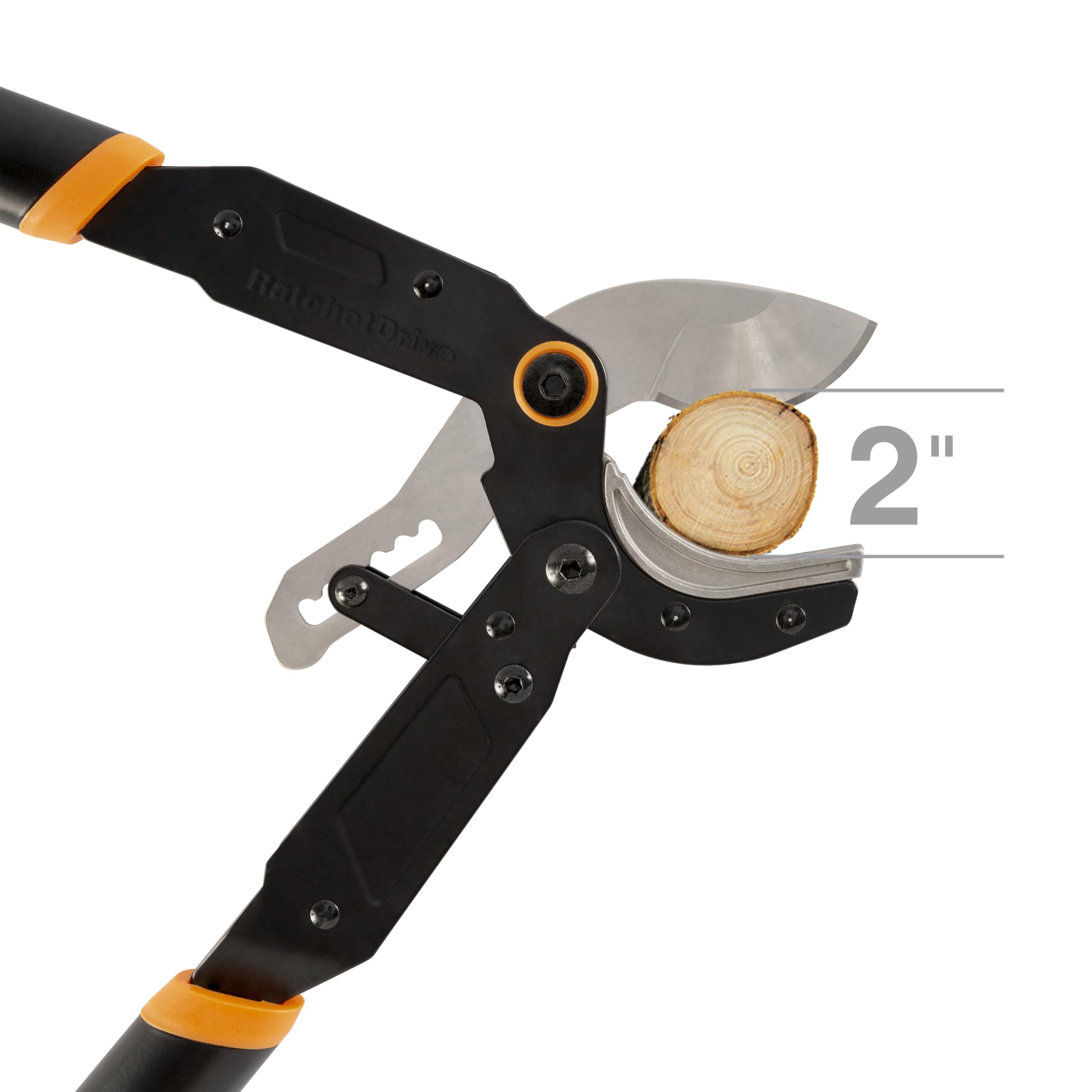 Fiskars loppers next to ruler to show 32 inch length for extended reach advantage