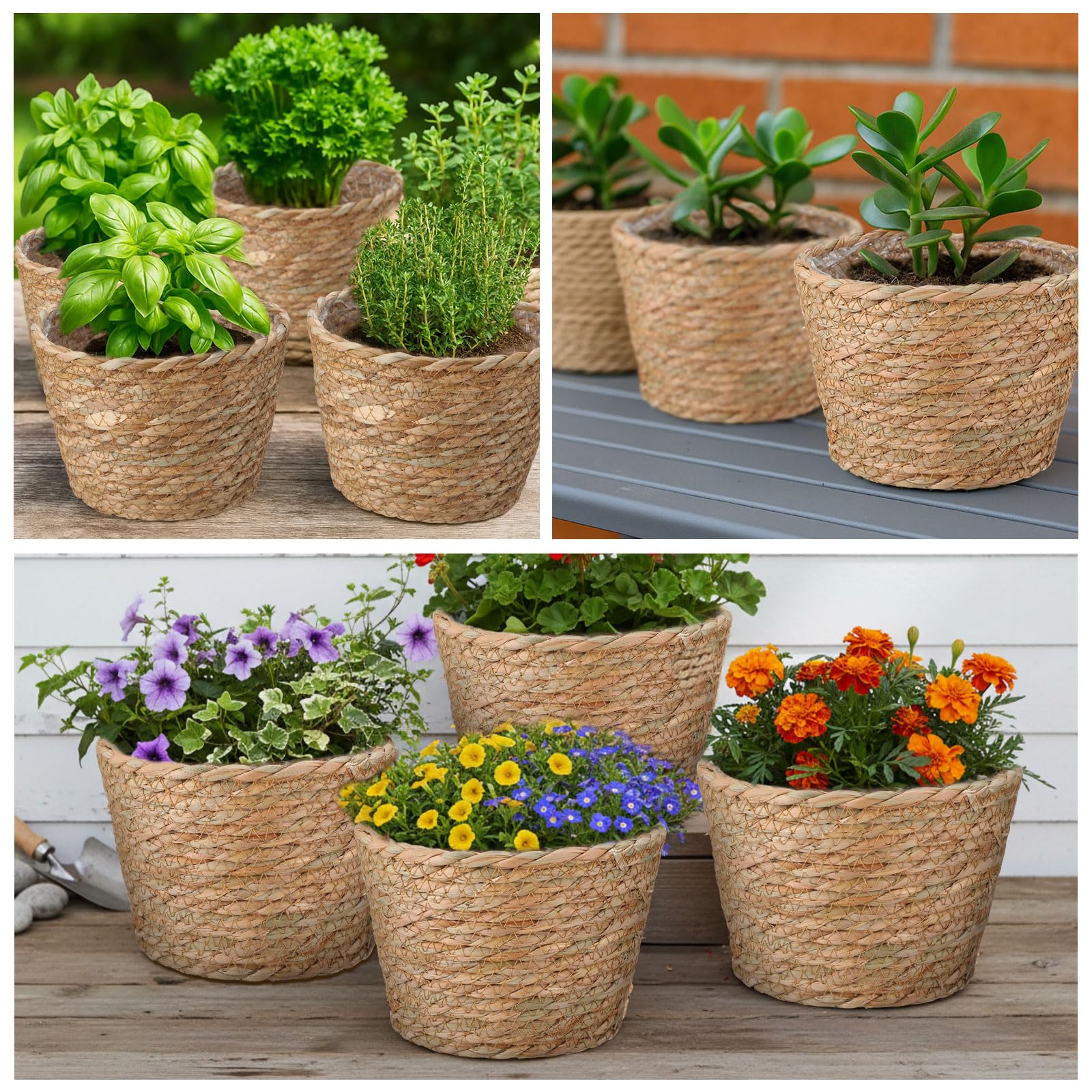 Fiwochic grouped set-of-four on shelf creating coordinated boho display