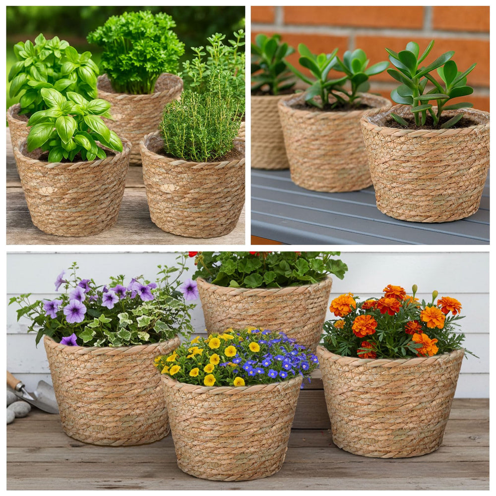 Fiwochic grouped set-of-four on shelf creating coordinated boho display