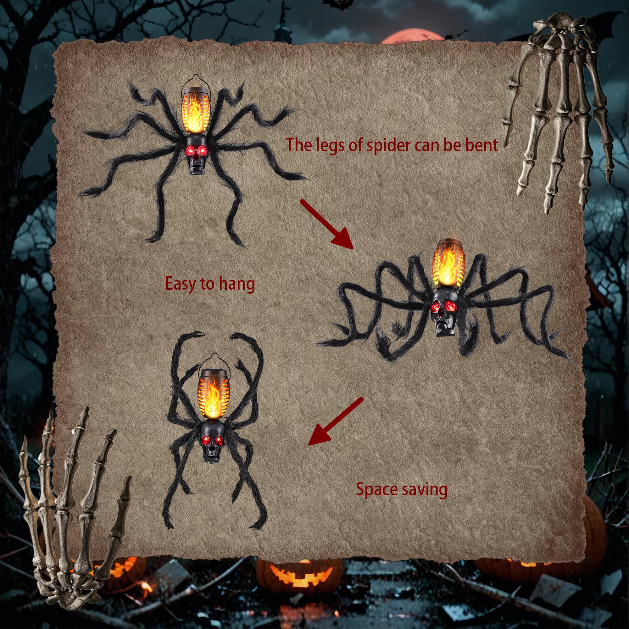 Flacchi skull tentacles arrangement showing flexible spider-like limbs