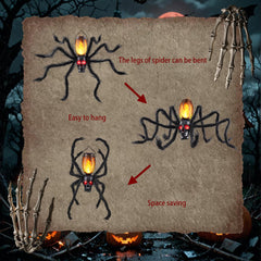 Flacchi skull tentacles arrangement showing flexible spider-like limbs