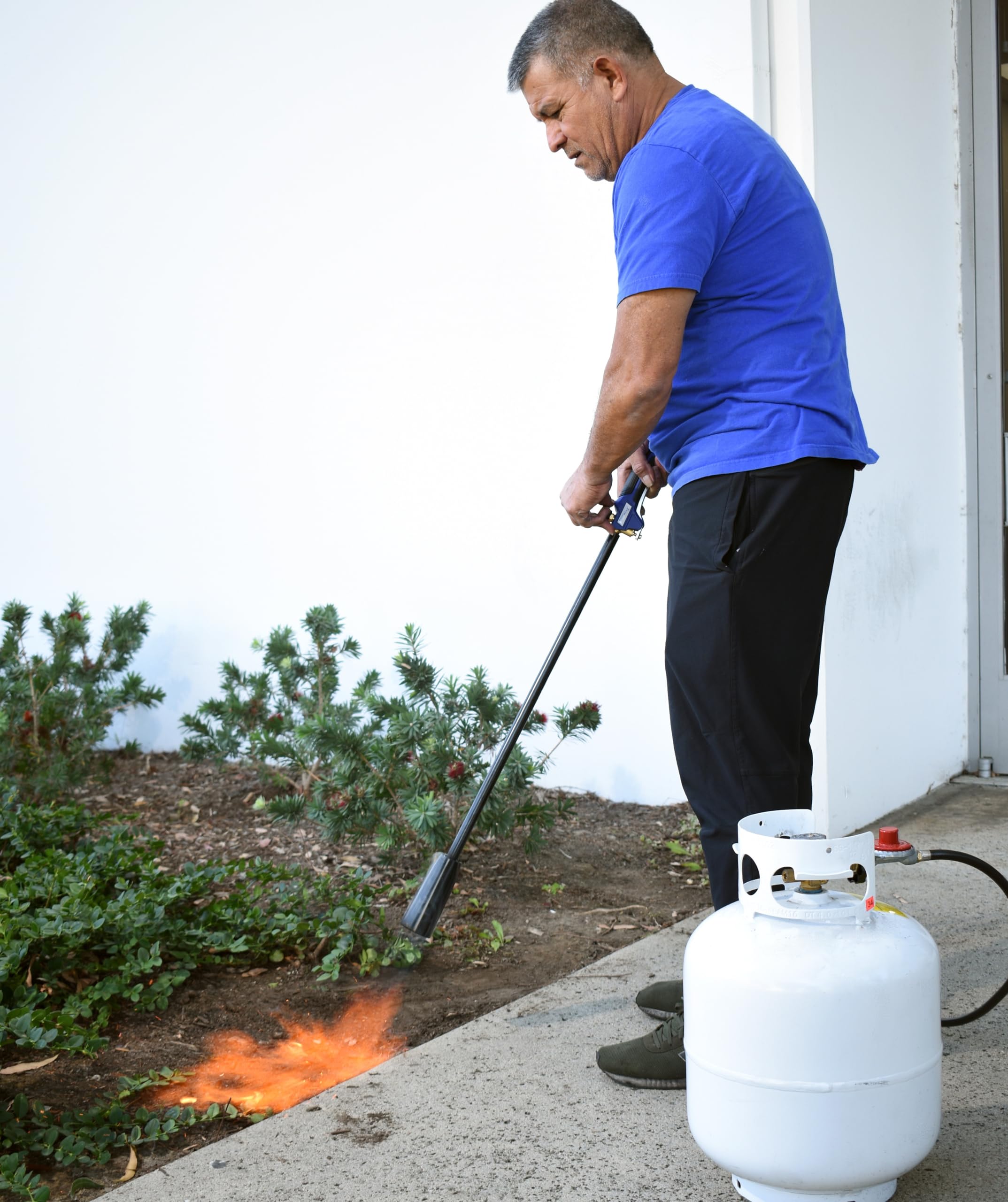 Flame King torch in use clearing weeds demonstrating effective weed control