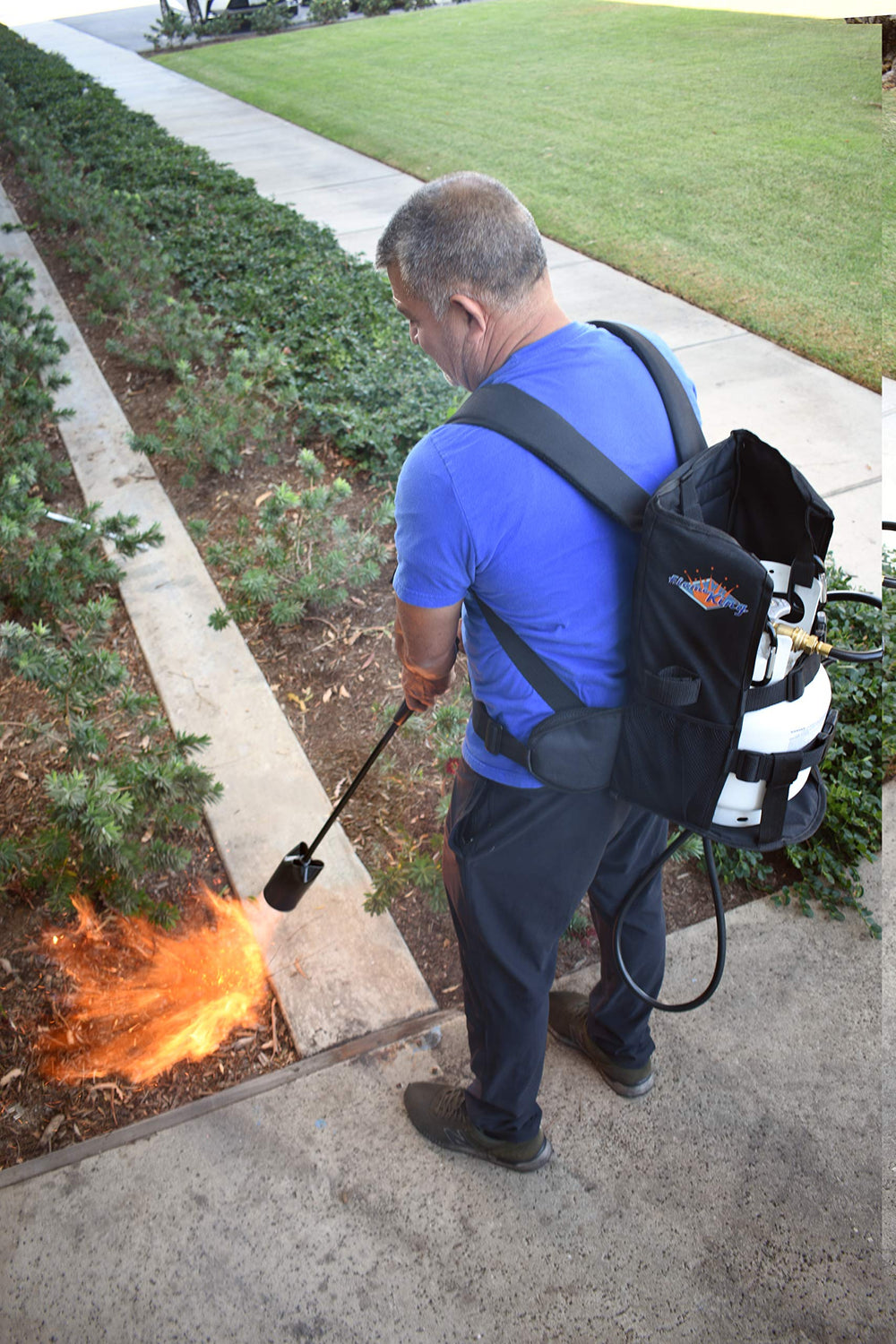 Flame King carrier in use for weed burning showing hands-free operation and easier movement