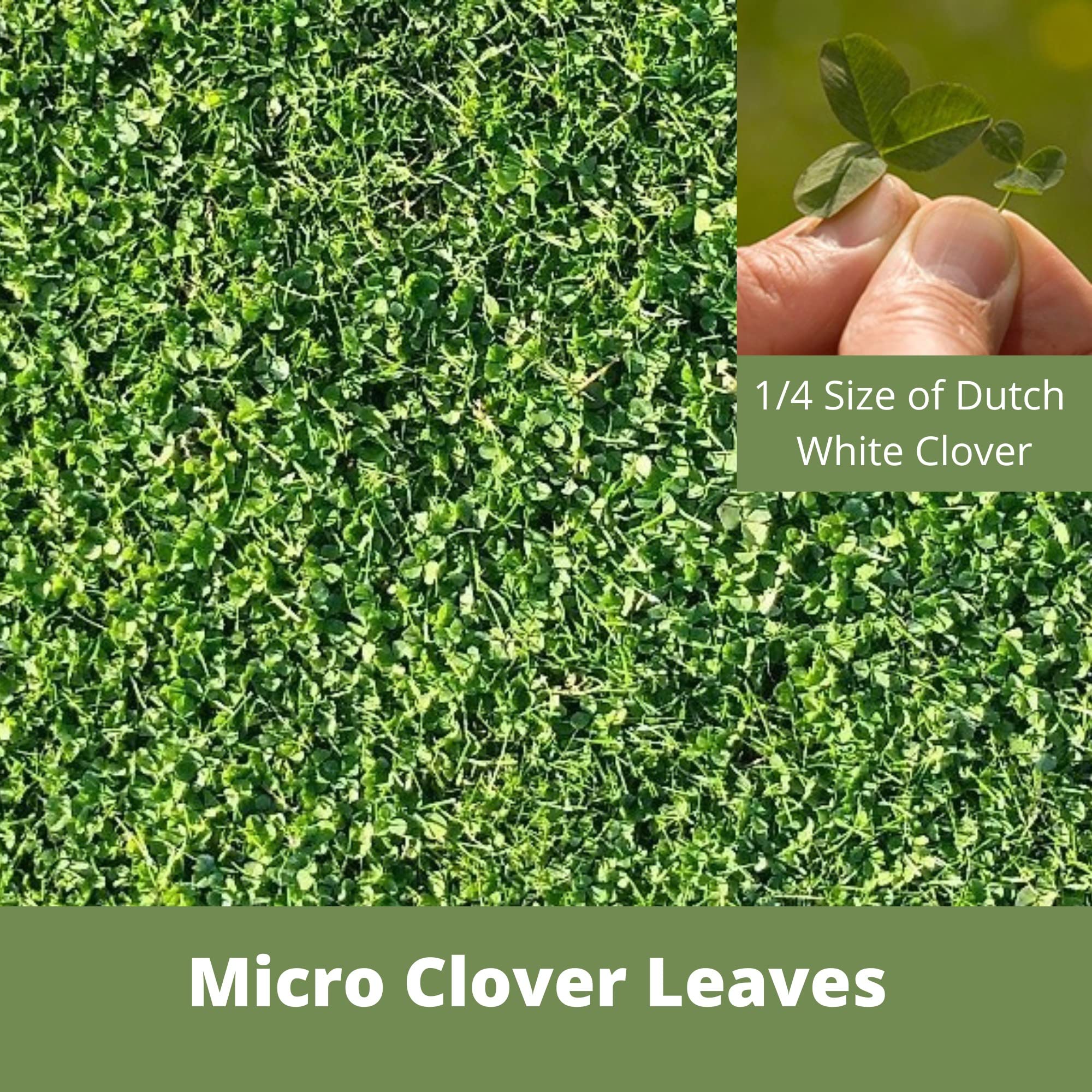 Flawn Seed Kits compostable pouch close-up highlighting eco-friendly packaging