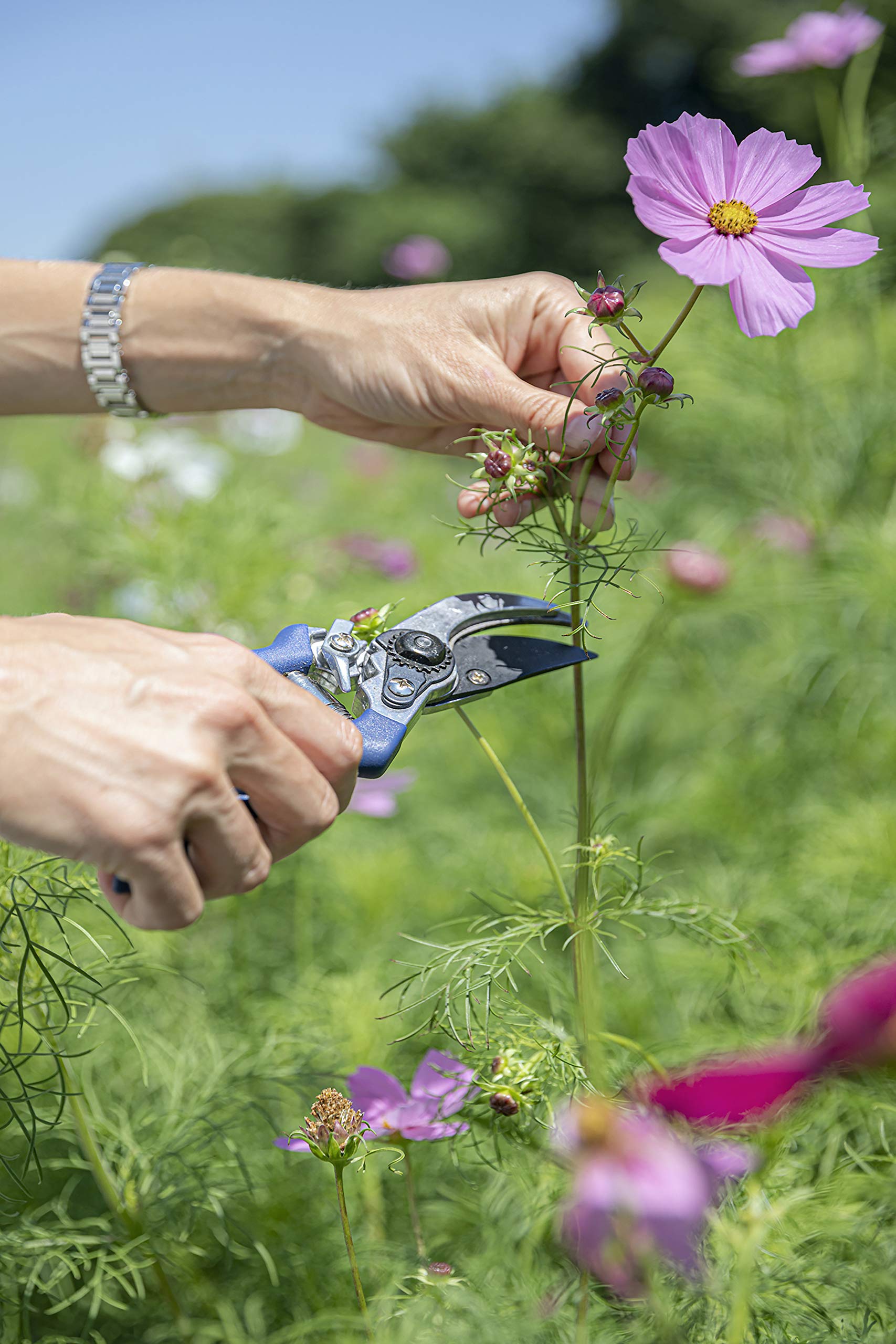 Fleur Du Bien hand using trowel digging soil showing efficient performance