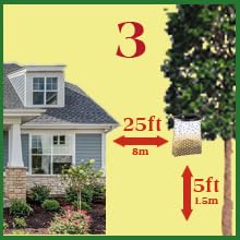 Flies Be Gone reusable strap and hooks for quick, secure hanging