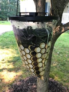 Flies Be Gone trap in hand showing size for easy placement