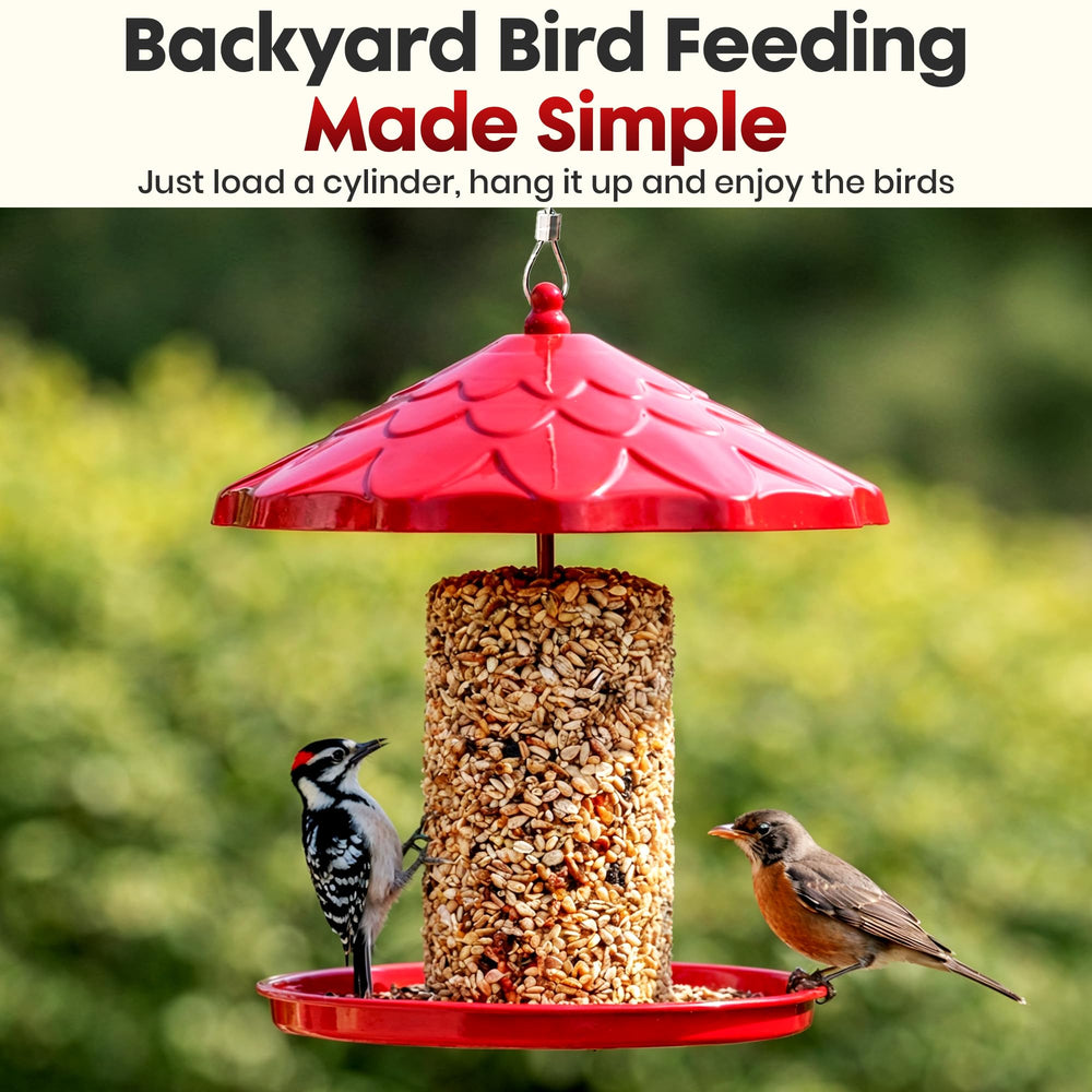 Flockin' feeder hanging from a branch delivering stable seed access outdoors
