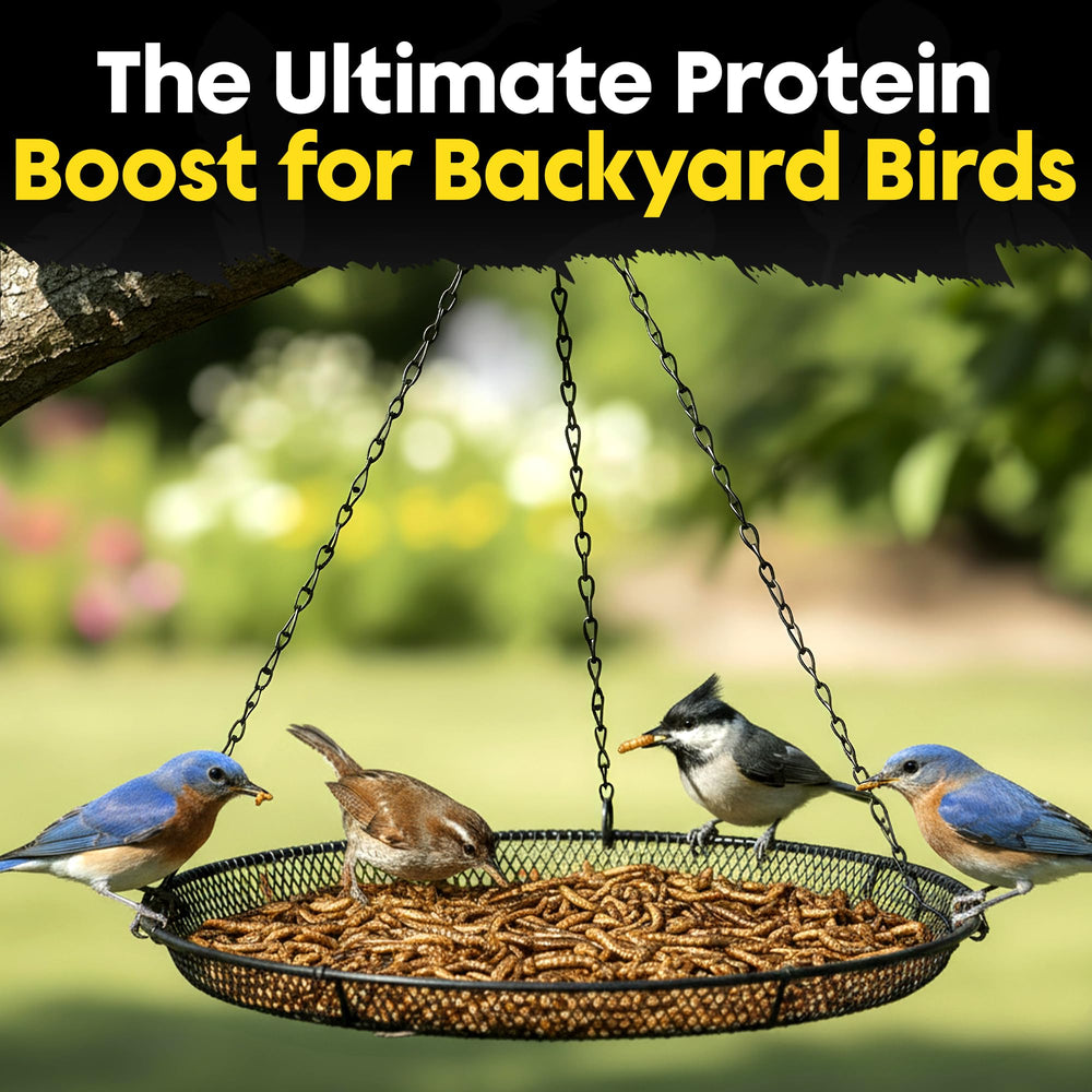 Flockin' bag label and ingredient panel showing natural formula