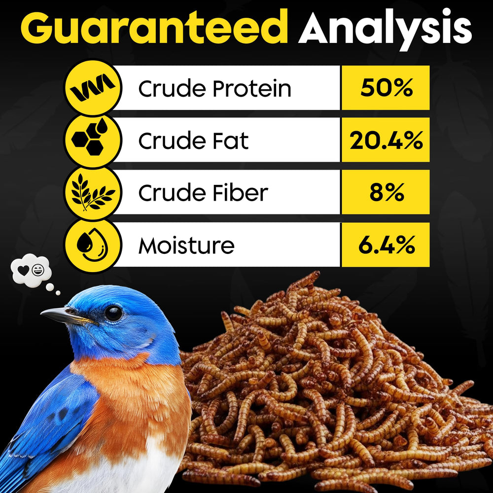 Flockin' mealworms on platform feeder in a backyard birdwatching scene