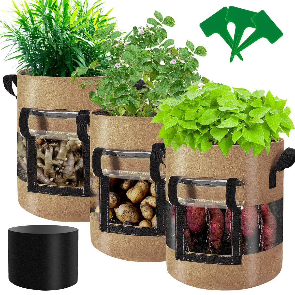 Florelf grow bag front view showing harvest window and tidy design for easy harvesting