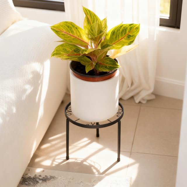 FloriCraft protective feet contacting floor to prevent scratches and improve grip