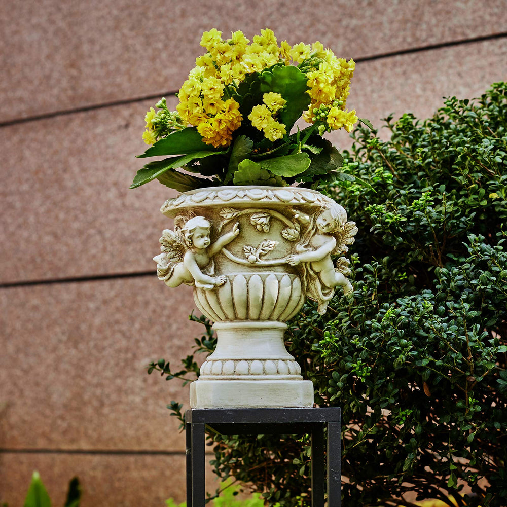 Floryden cherub planter filled with succulent showing compact planting idea