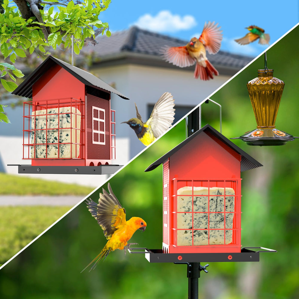 FlowaFoli birds feeding on tray showing lively backyard attraction benefit