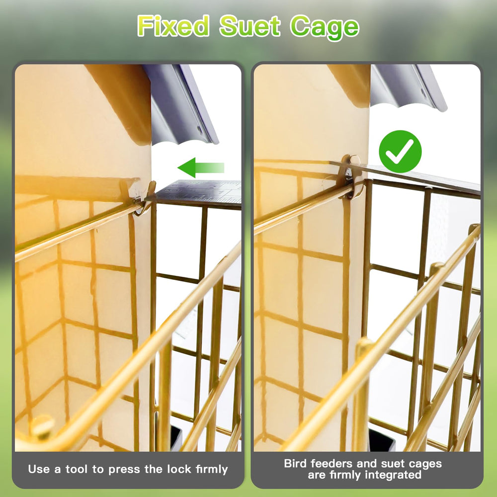FlowaFoli feeder hung in garden showing bird-friendly setup and enhanced backyard ambience