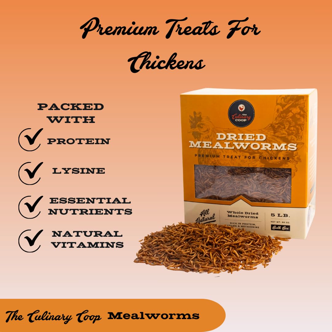 Fluker's close-up of dried mealworms highlighting protein-rich texture