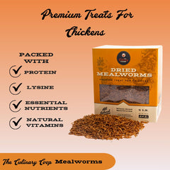 Fluker's close-up of dried mealworms highlighting protein-rich texture