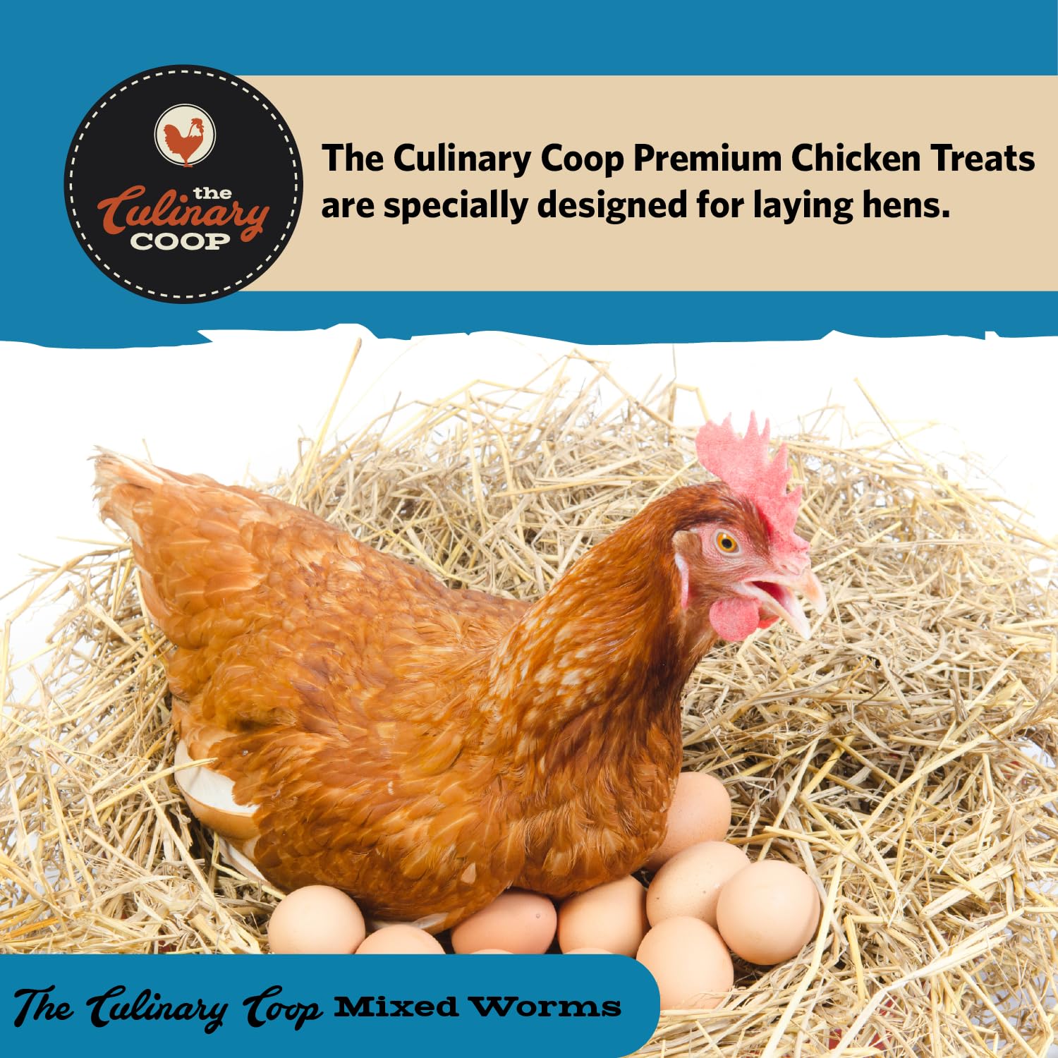 Fluker's mix in a feeder with chickens eating, encouraging natural foraging