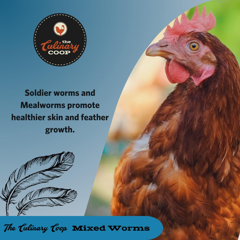 Fluker's dried worm blend mixed into layer feed to boost protein content