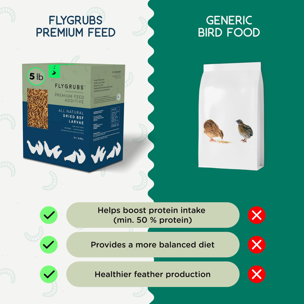 FLYGRUBS fed to chickens in yard showing enrichment and natural behavior benefit