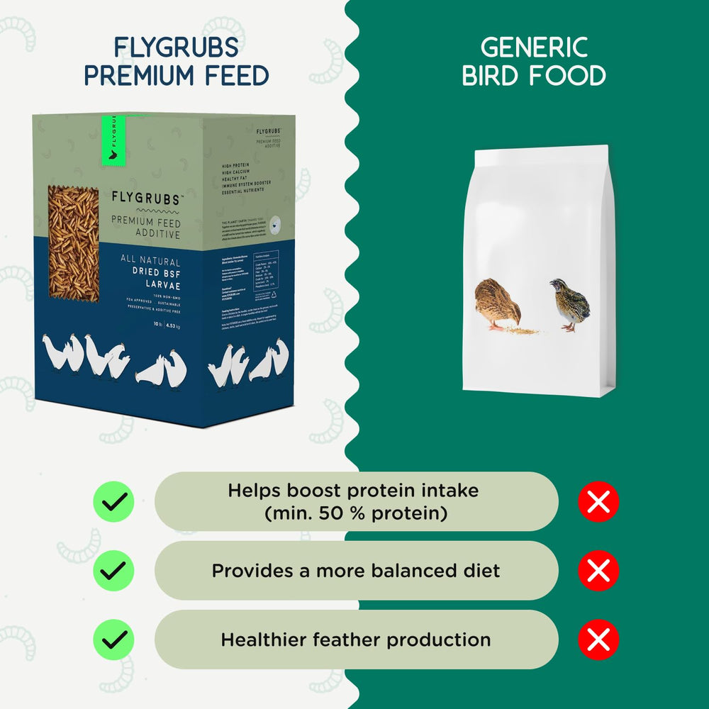 FLYGRUBS nutrition label close view, showing protein and calcium content