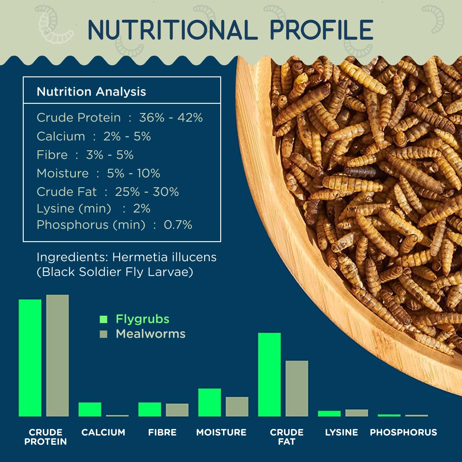 FLYGRUBS larvae close-up texture showing dried pieces and high-protein appearance benefit