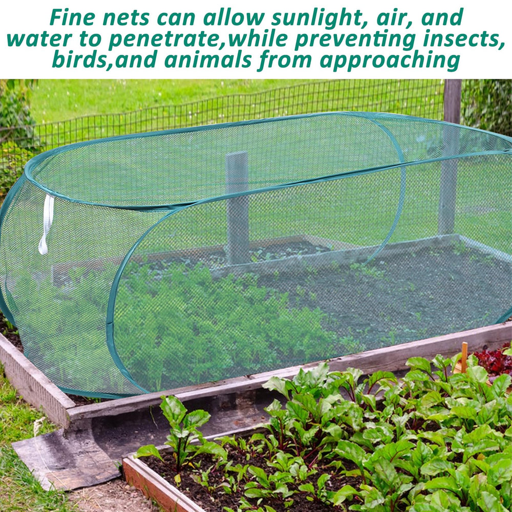FMOACEN cover in use over a vegetable row keeping birds away