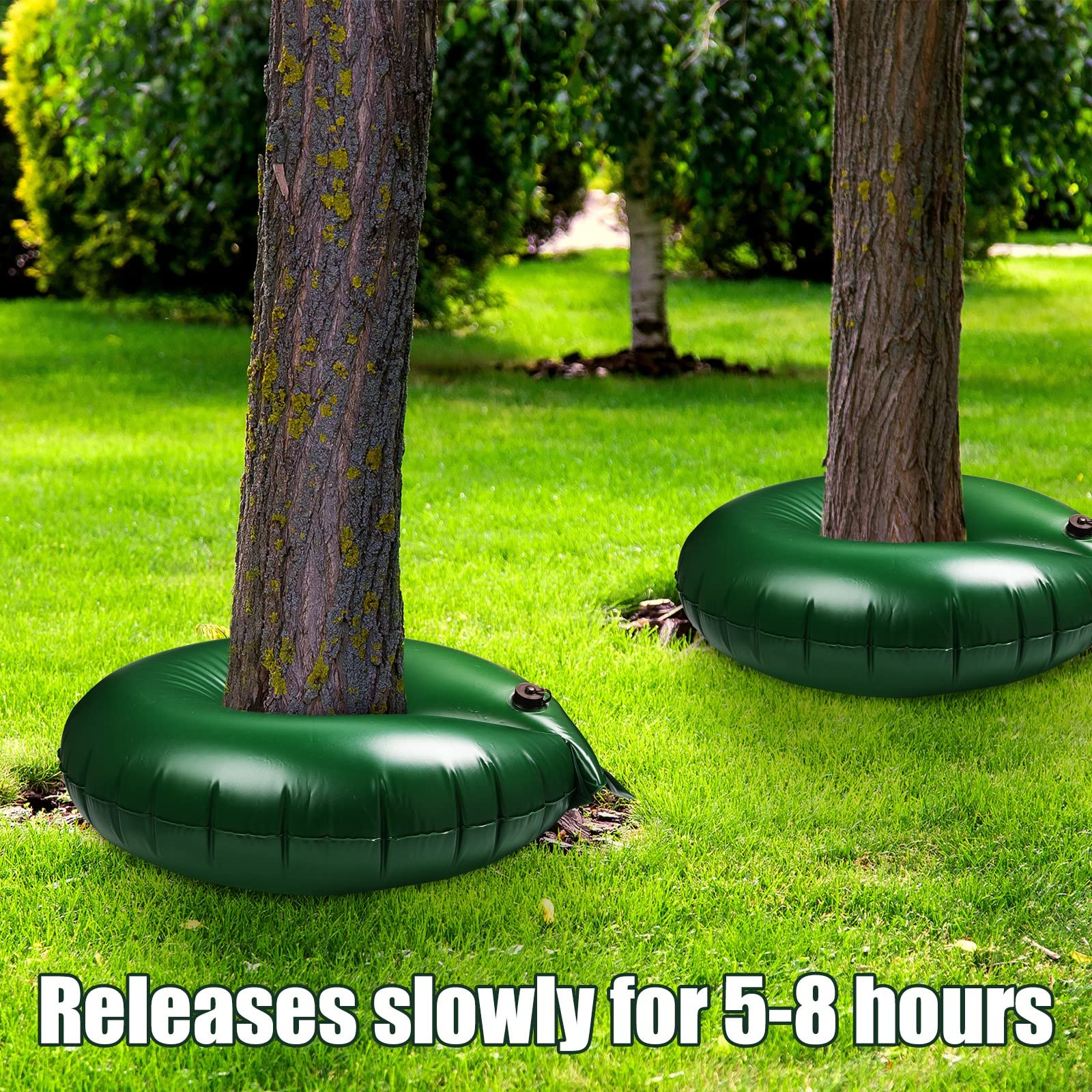 Foaincore watering ring filled and placed around tree trunk for deep root hydration
