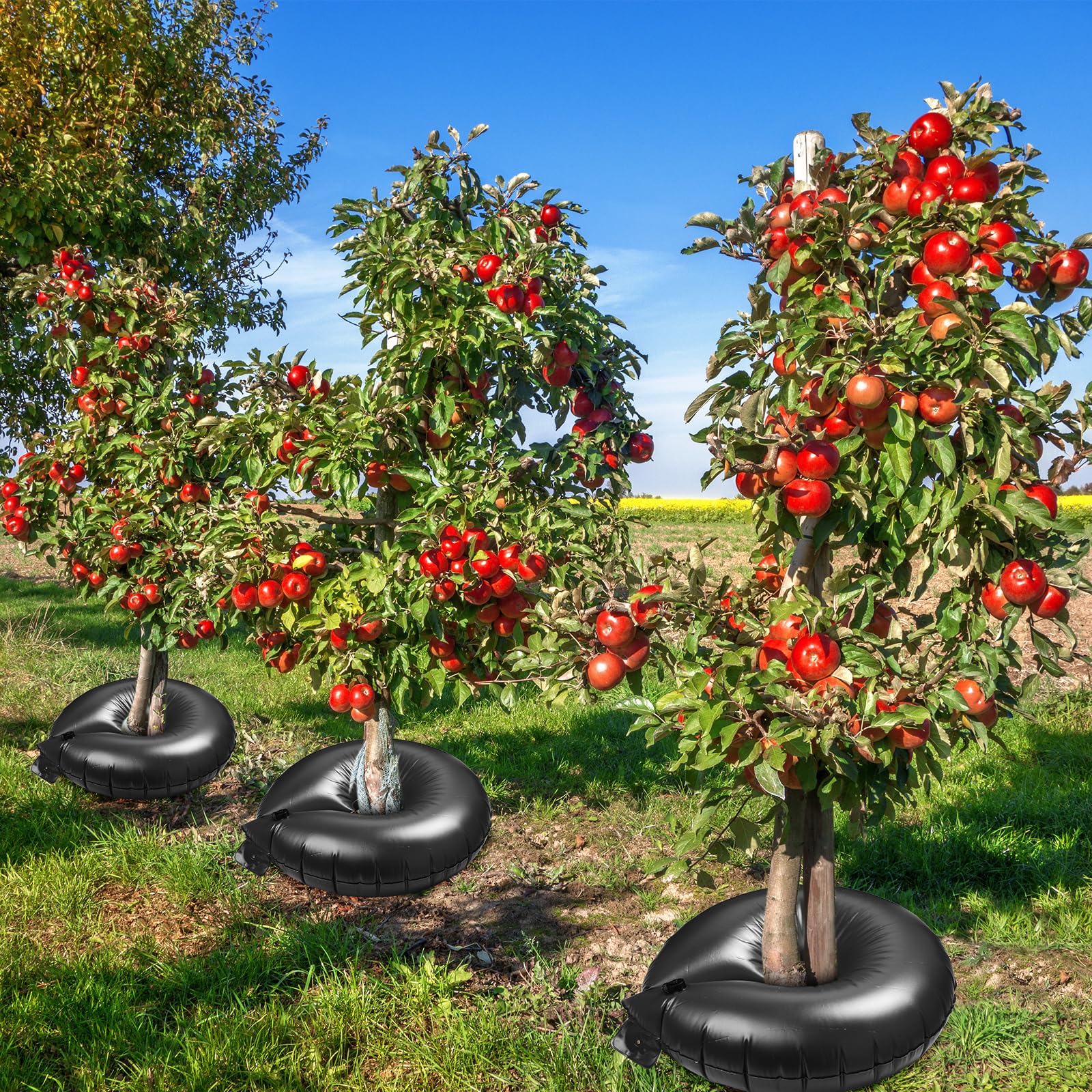 Foaincore landscape setting with multiple rings demonstrating efficient watering