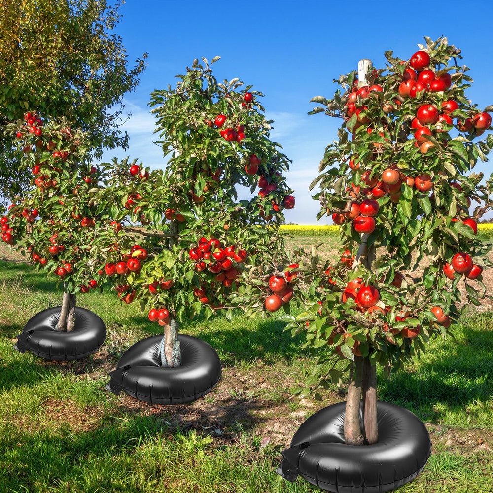 Foaincore landscape setting with multiple rings demonstrating efficient watering