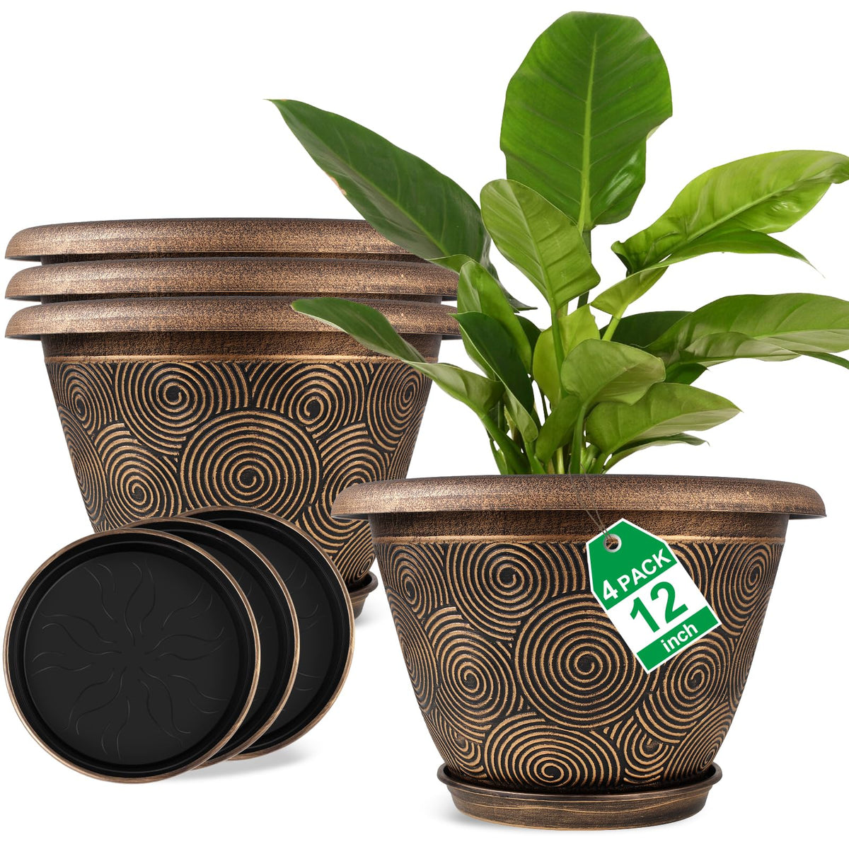 Fodetyff maceta frontal empaquetada mostrando diseño moderno y beneficio decorativo