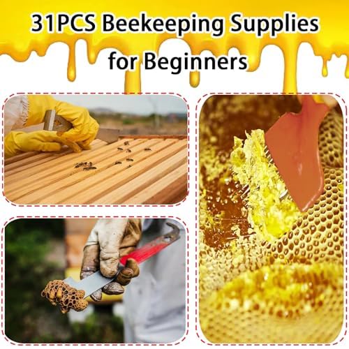 FodManTakin assorted beekeeping tools laid out for clear identification and selection