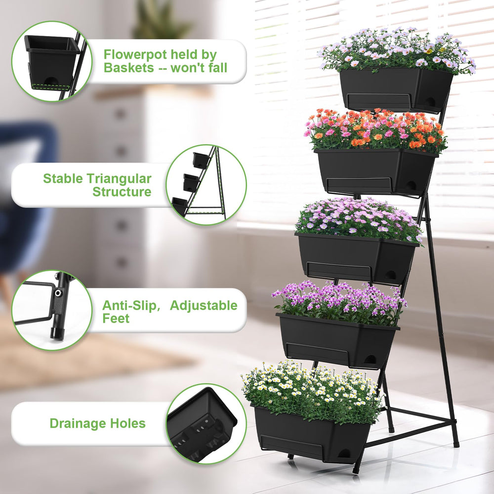 Fogein top-down view of staggered tiers maximizing sunlight exposure